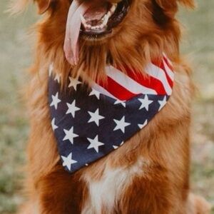 American Flag Red White and Blue Bandana for Pets